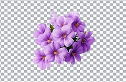 Background Remover
