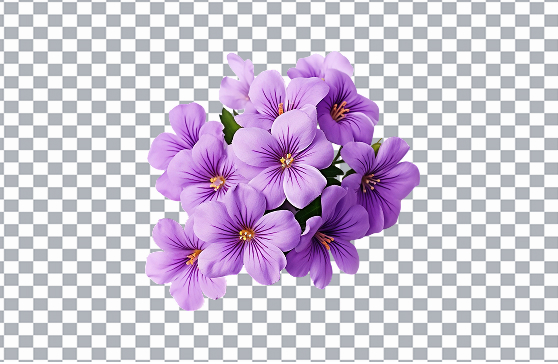 Subject with background removed as a clean transparent cutout