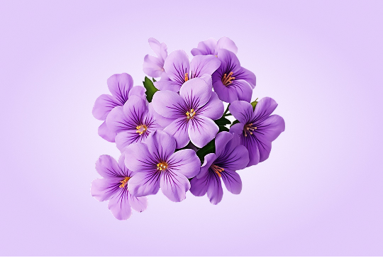 Photo with background before AI background removal